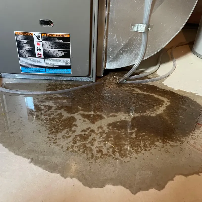 Appliance Leak Cleanup in Glenwood Landing, NY